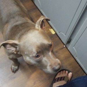 Meet your Posher, Colten